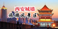 猛插美女的大骚逼中国陕西-西安城墙旅游风景区