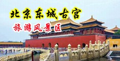 大吊日大逼视频中国北京-东城古宫旅游风景区